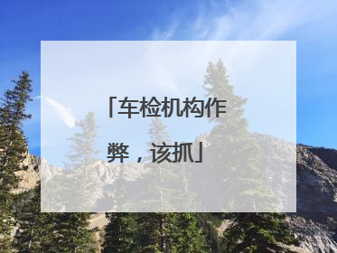 车检机构作弊，该抓