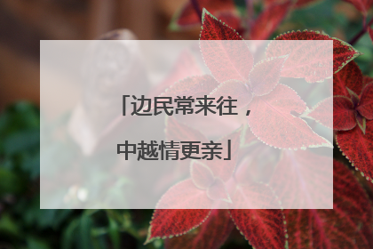 边民常来往，中越情更亲