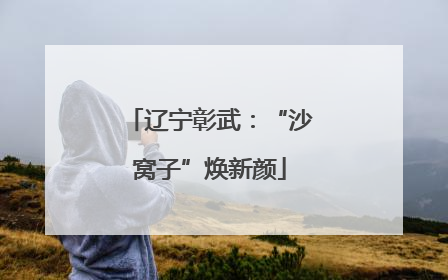 辽宁彰武：“沙窝子”焕新颜