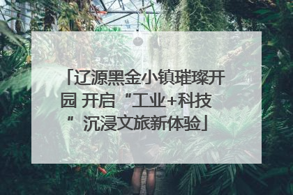 辽源黑金小镇璀璨开园 开启“工业+科技”沉浸文旅新体验