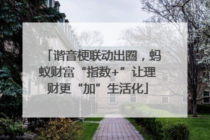 谐音梗联动出圈，蚂蚁财富“指数+”让理财更“加”生活化
