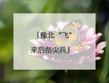 豫北“飞”来后备尖兵