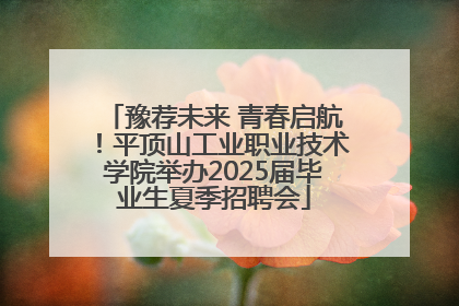 豫荐未来 青春启航！平顶山工业职业技术学院举办2025届毕业生夏季招聘会