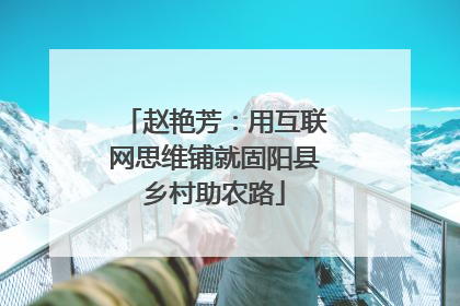 赵艳芳：用互联网思维铺就固阳县乡村助农路