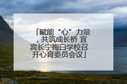 赋能“心”力量，共筑成长桥 宜宾长宁梅白学校召开心育委员会议