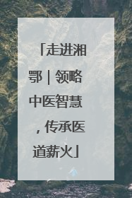 走进湘鄂｜领略中医智慧，传承医道薪火