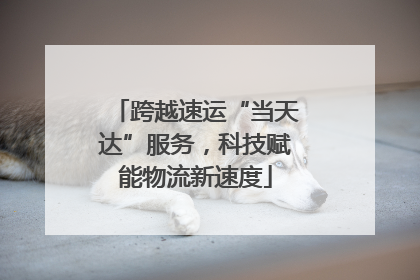 跨越速运“当天达”服务，科技赋能物流新速度