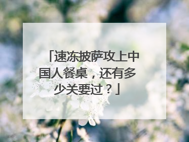 速冻披萨攻上中国人餐桌，还有多少关要过？