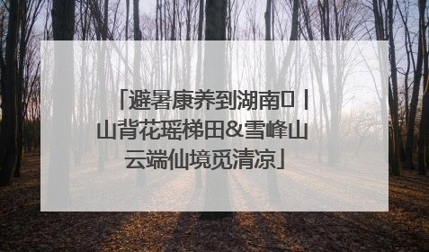 避暑康养到湖南⑫丨山背花瑶梯田&雪峰山 云端仙境觅清凉
