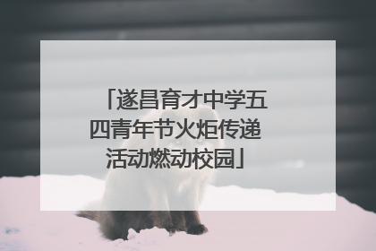 遂昌育才中学五四青年节火炬传递活动燃动校园