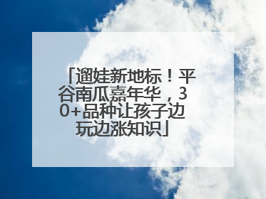 遛娃新地标！平谷南瓜嘉年华，30+品种让孩子边玩边涨知识