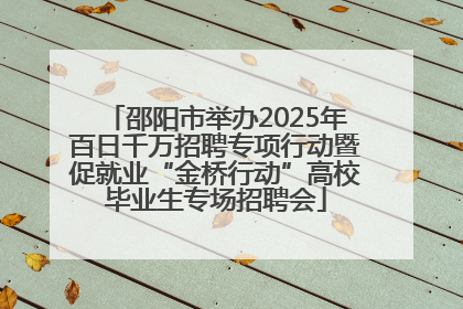邵阳市举办2025年百日千万招聘专项行动暨促就业“金桥行动”高校毕业生专场招聘会