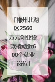 郴州北湖区2560万元创业贷款撬动近600个就业岗位