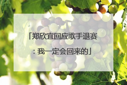 郑欣宜回应歌手退赛：我一定会回来的