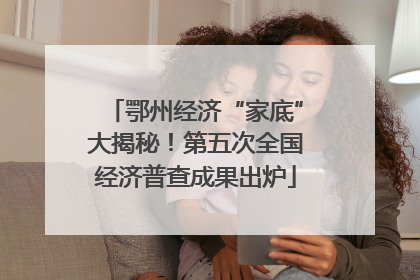 鄂州经济“家底”大揭秘！第五次全国经济普查成果出炉