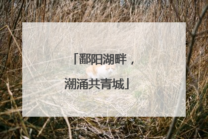 鄱阳湖畔，潮涌共青城