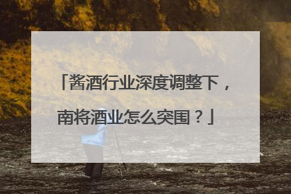 酱酒行业深度调整下，南将酒业怎么突围？
