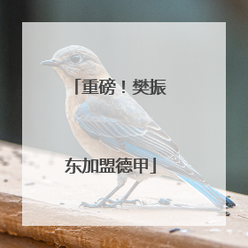重磅！樊振东加盟德甲