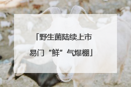 野生菌陆续上市 易门“鲜”气爆棚