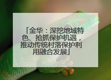 金华：深挖地域特色、抢抓保护机遇，推动传统村落保护利用融合发展