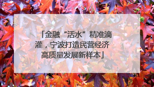 金融“活水”精准滴灌，宁波打造民营经济高质量发展新样本