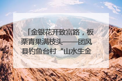 金银花开致富路，板栗青果满枝头——团风县钓鱼台村“山水生金”谱写共富新篇章