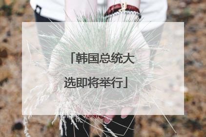 韩国总统大选即将举行