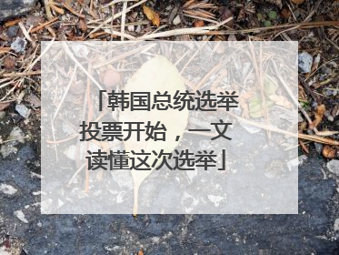 韩国总统选举投票开始，一文读懂这次选举
