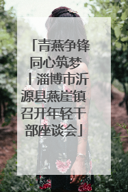 青燕争锋 同心筑梦丨淄博市沂源县燕崖镇召开年轻干部座谈会