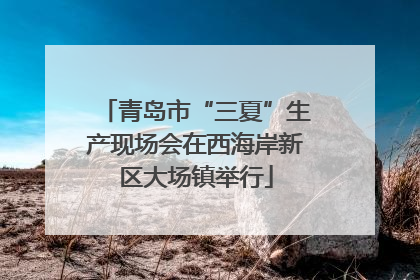 青岛市“三夏”生产现场会在西海岸新区大场镇举行