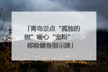 青岛景点“孤独的树”暖心“宠粉” 移除健身指示牌