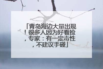 青岛海边大量出现！很多人因为好看捡，专家：有一定毒性，不建议手碰