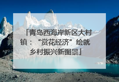青岛西海岸新区大村镇：“赏花经济”绘就乡村振兴新图景