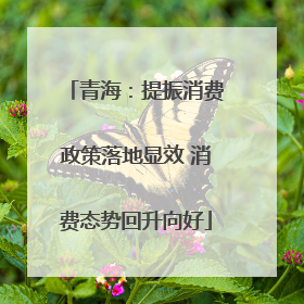 青海：提振消费政策落地显效 消费态势回升向好
