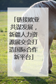 链接欧亚共谋发展，新疆人力资源展交会打造国际合作新平台