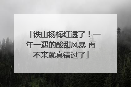 铁山杨梅红透了！一年一遇的酸甜风暴 再不来就真错过了