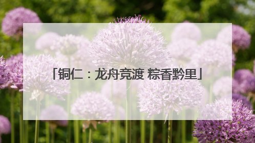 铜仁：龙舟竞渡 粽香黔里