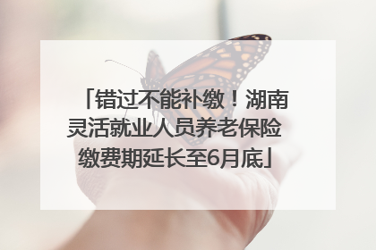 错过不能补缴！湖南灵活就业人员养老保险缴费期延长至6月底
