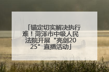 锚定切实解决执行难！菏泽市中级人民法院开展“亮剑2025”直播活动