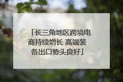 长三角地区跨境电商持续增长 高端装备出口势头良好