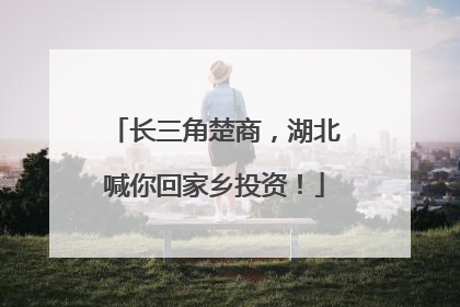 长三角楚商，湖北喊你回家乡投资！