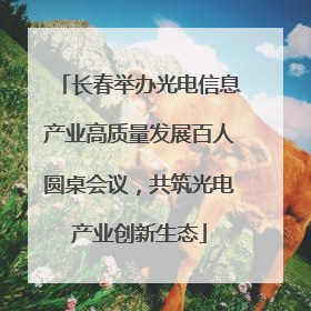长春举办光电信息产业高质量发展百人圆桌会议，共筑光电产业创新生态