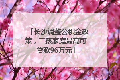 长沙调整公积金政策，二孩家庭最高可贷款96万元