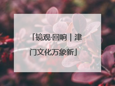 镜观·回响｜津门文化万象新