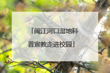 闽江河口湿地科普宣教走进校园