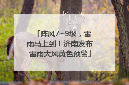 阵风7~9级，雷雨马上到！济南发布雷雨大风黄色预警
