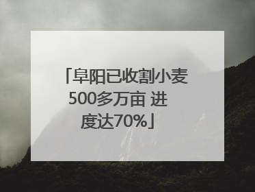 阜阳已收割小麦500多万亩 进度达70%