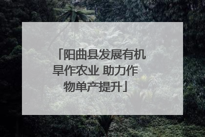 阳曲县发展有机旱作农业 助力作物单产提升