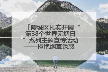 陵城区扎实开展“第38个世界无烟日”系列主题宣传活动——拒绝烟草诱惑 对第一支烟说不
