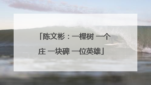 陈文彬：一棵树 一个庄 一块碑 一位英雄